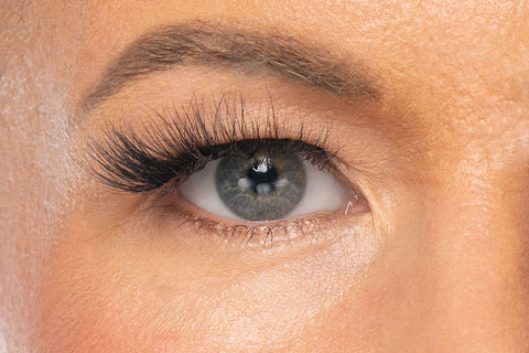 Hollywood Reusable Premium Strip Lashes