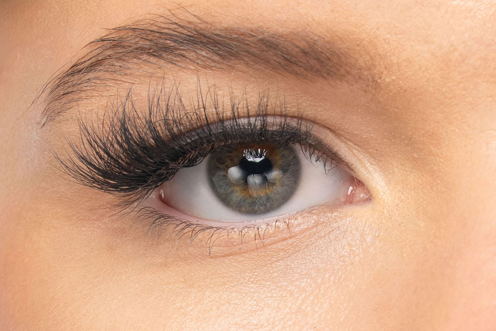 Hollywood Reusable Premium Strip Lashes